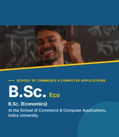 BSc Economics Mobile Banner